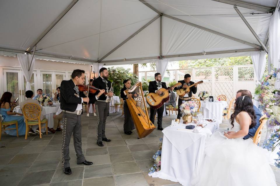 5-piece Mariachi band receptio