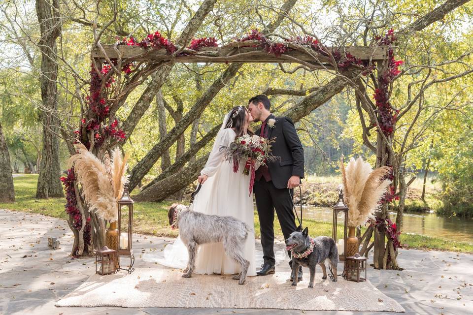Bride & Groom + Dogs