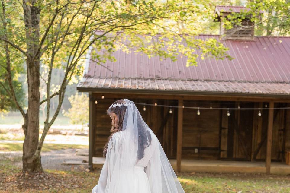 Bride's dress from back
