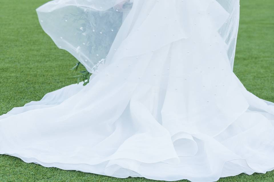 Wind swept veil