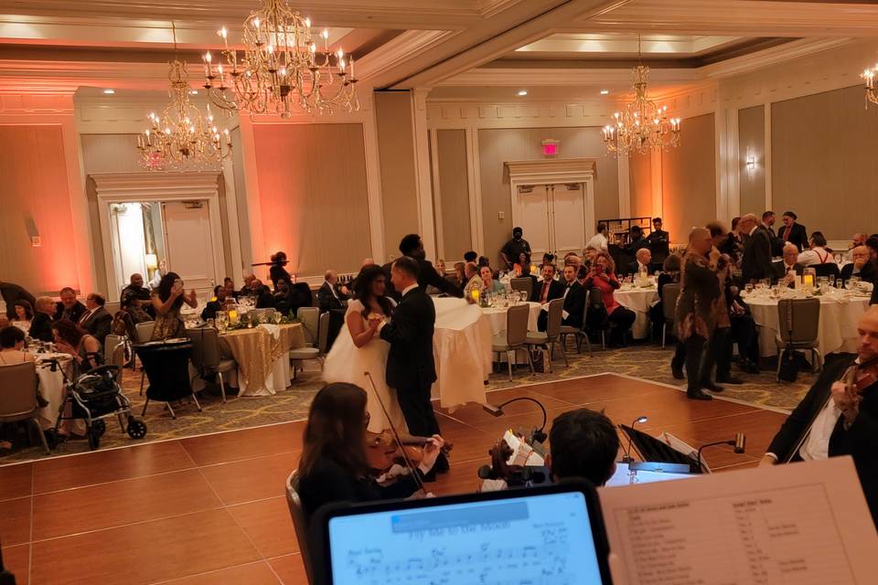 String Quartet and Cover Band