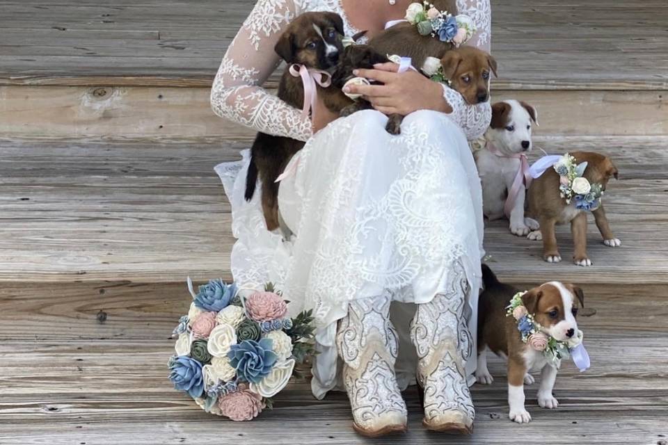 Puppies for the wedding