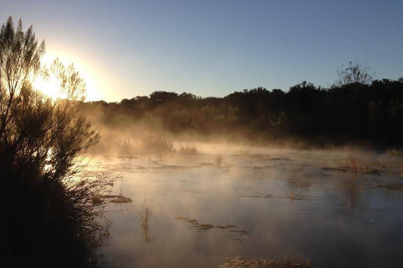 Pedernales River in the morning