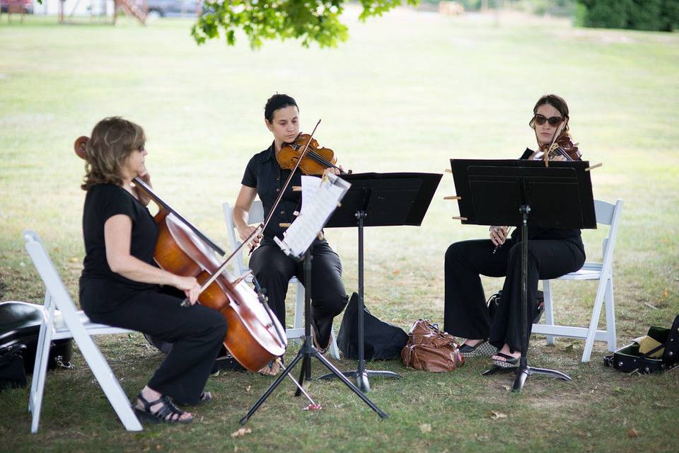 The Willows at Historic Strasburg