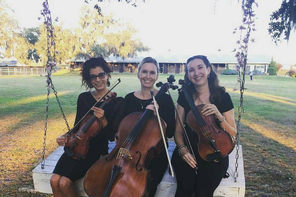 Strings trio