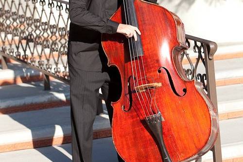 Cello player