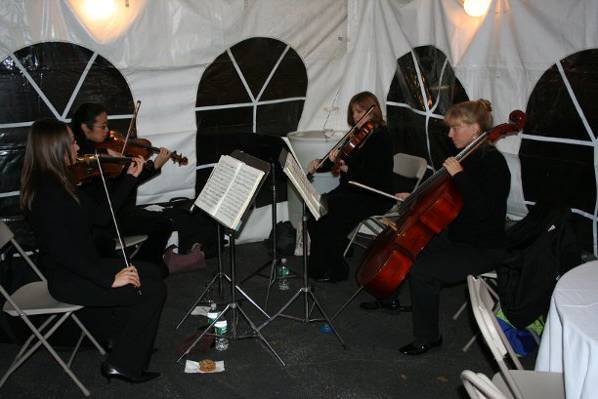 Rittenhouse String Quartet and Ensembles