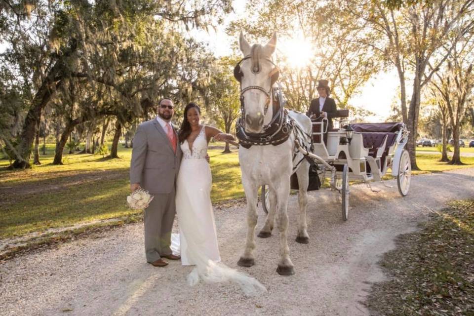 The happy couple with a White Percheron