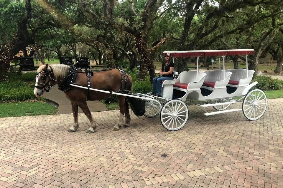 8 Magical Horse Drawn Carriage Rides And Tours In Florida