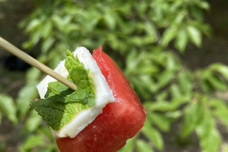 Grilled watermelon, feta, mint