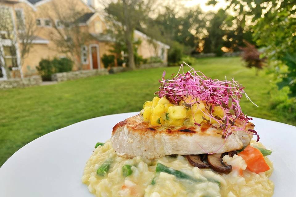 Grilled swordfish & risotto