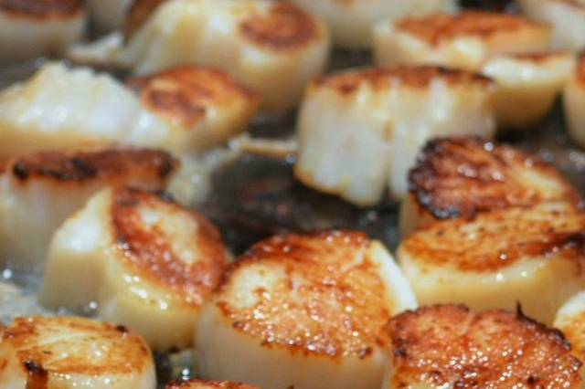 Seared scallops