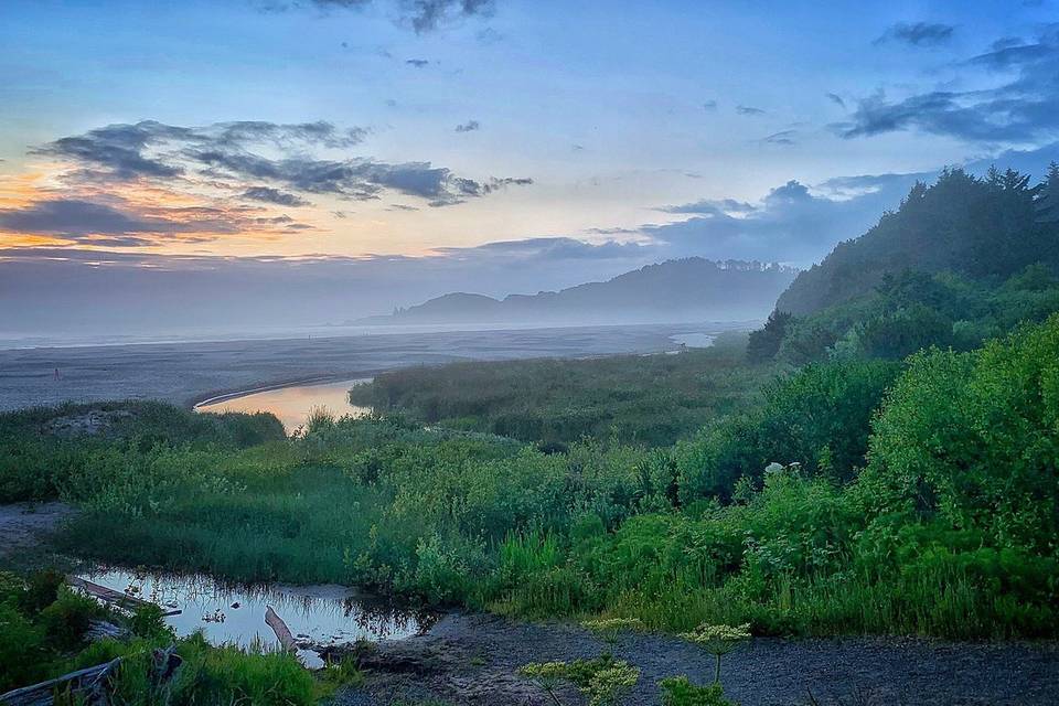 Foggy morning at Agate Beach