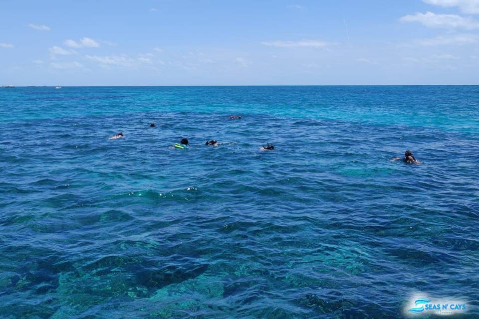 Snorkeling for the adventurous