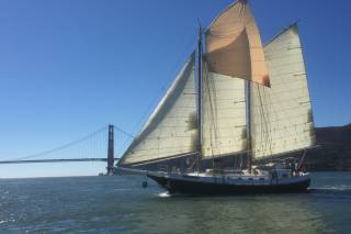 Bay Lights Charters 1