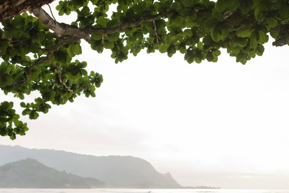 J&L Photography Destination