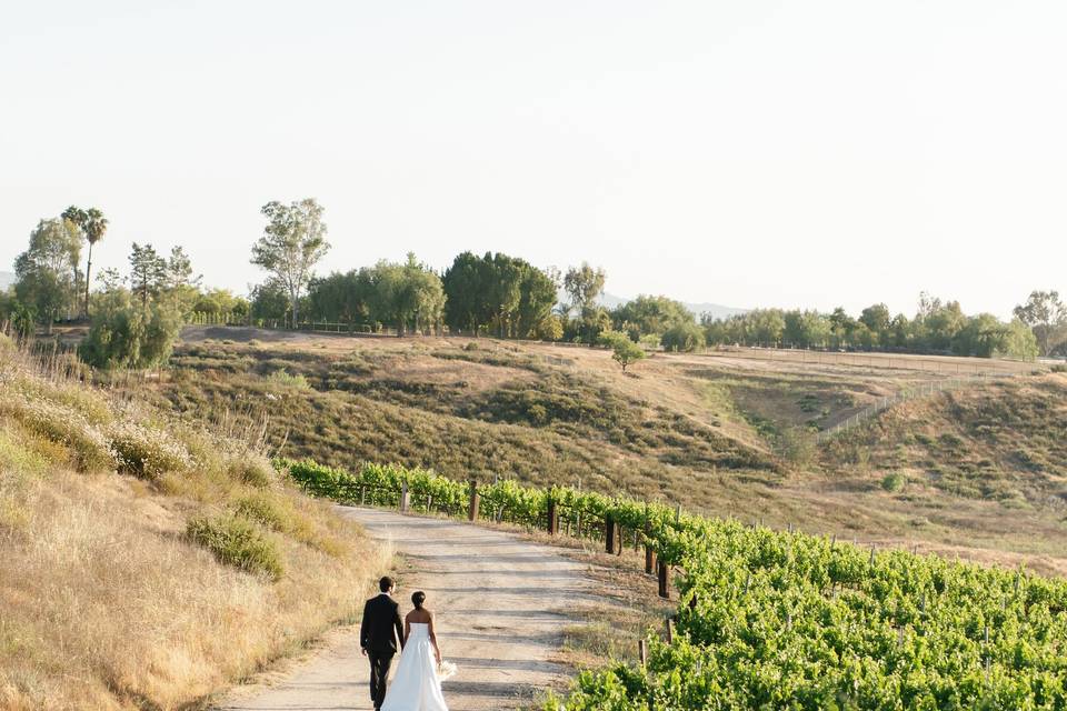 Napa Wedding Photographer