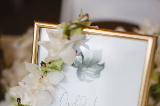 Elegant traditions