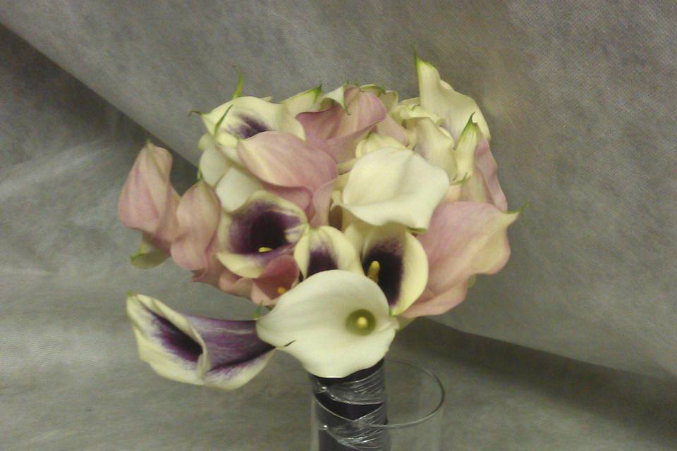 Tied Mini Calla Bouquet