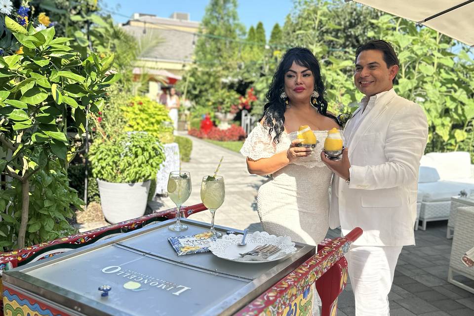 Gelato cart