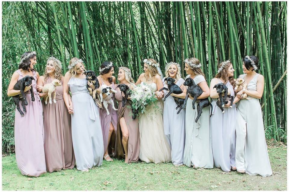 Stunning flower crowns