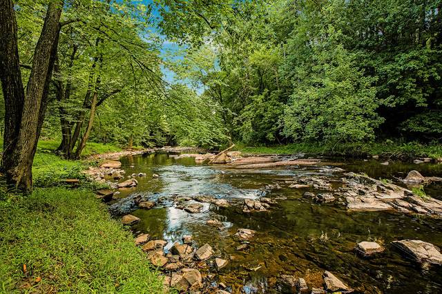 Pretty creek
