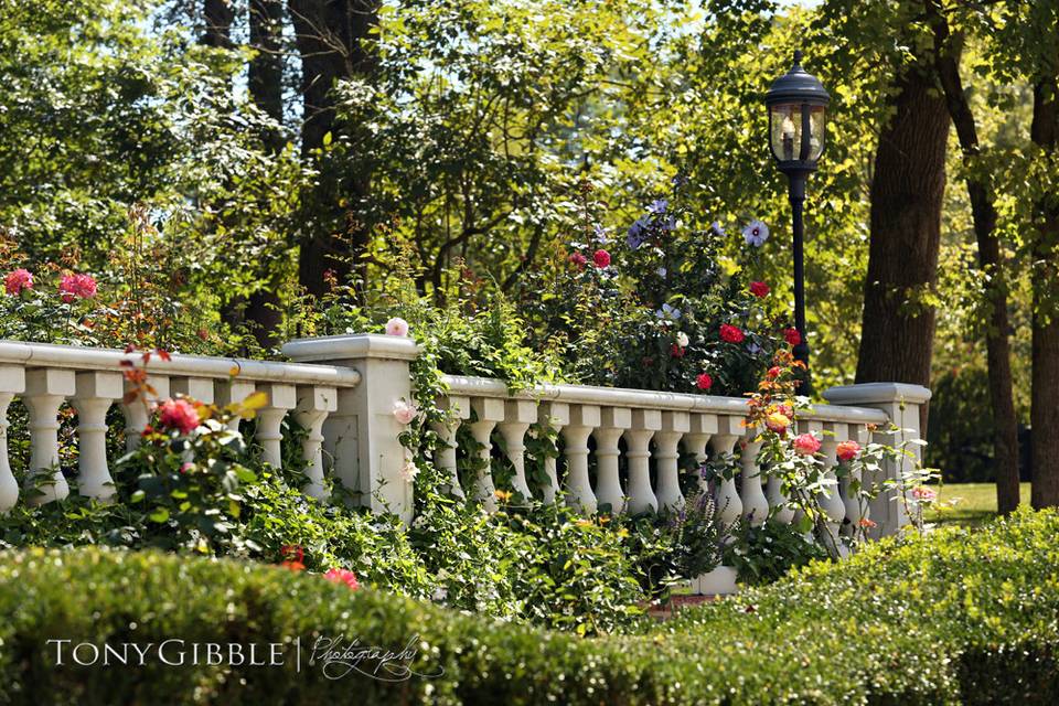 Wedding gardens