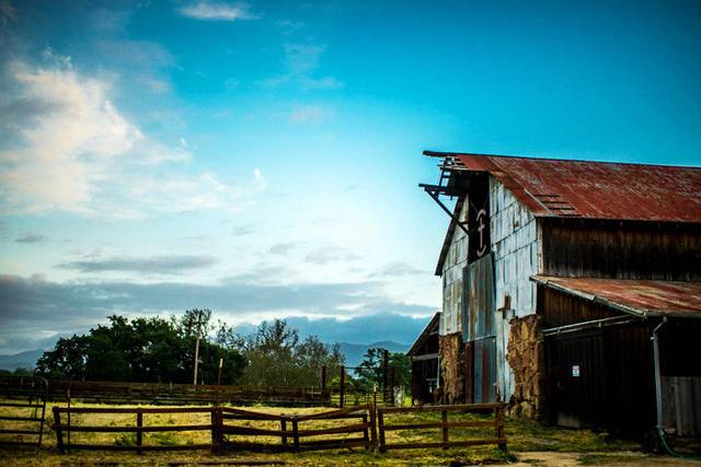 Bluephoto Wedding Photography