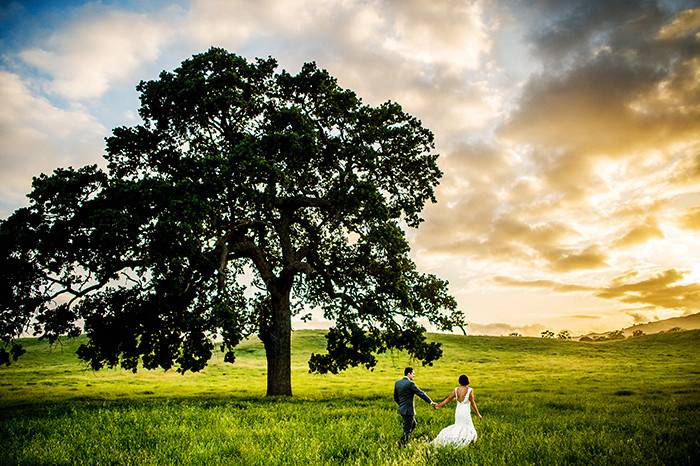 Bluephoto Wedding Photography