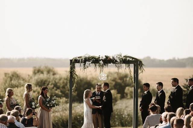 The couple with the bridesmaids and groomsmen