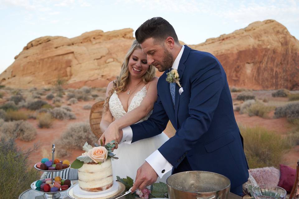 Cutting the cake