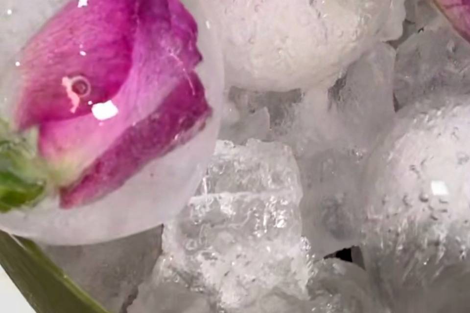 Floral Ice cubes