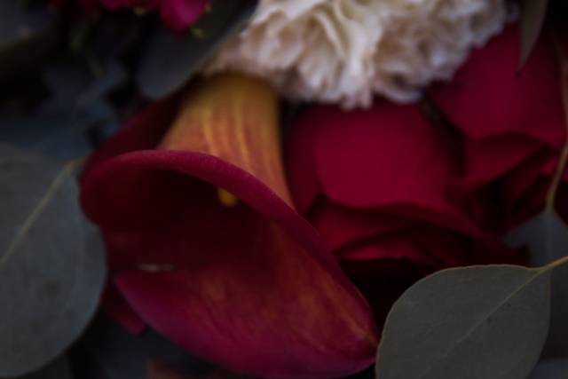 Captures by KM photography