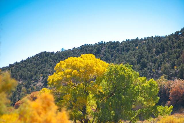 Boulder Mountain Guest Ranch - Venue - Boulder, UT - WeddingWire