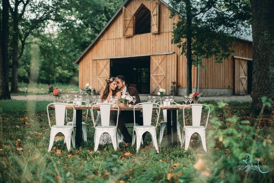 Dinner in the front yard