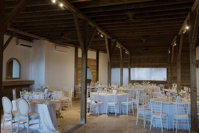 Wedding reception