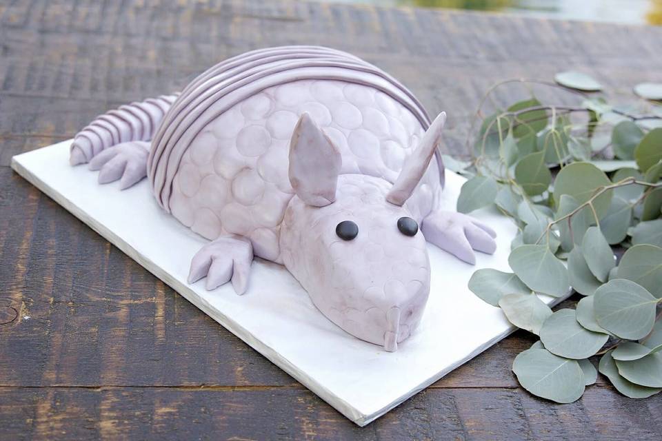 Armadillo groom's cake