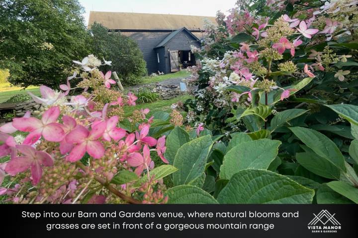 Barn + Gardens