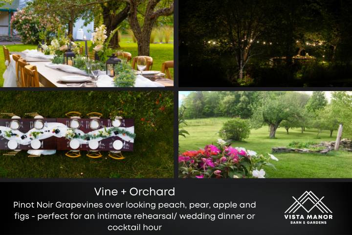 Vine + Orchard