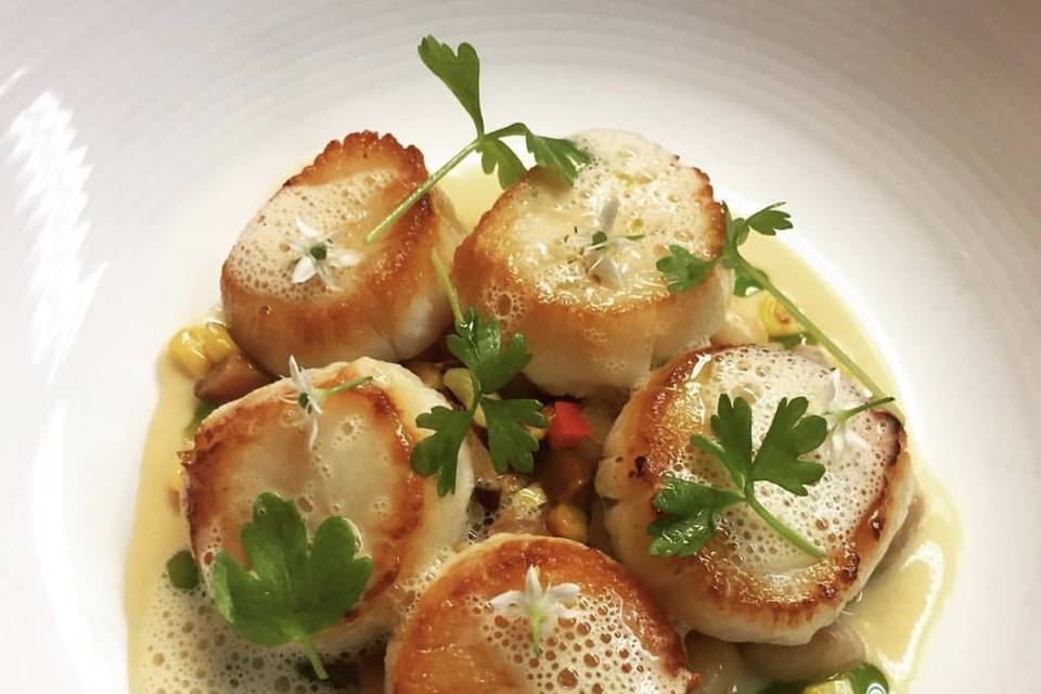 Scallop, Platted Dinner