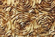 Close up of our Gold rose bud curtains. We fit large groups!  Up to 10 adults.  Truly Unlimited prints!  Everyone gets a copy of their photos.The only booth with 
