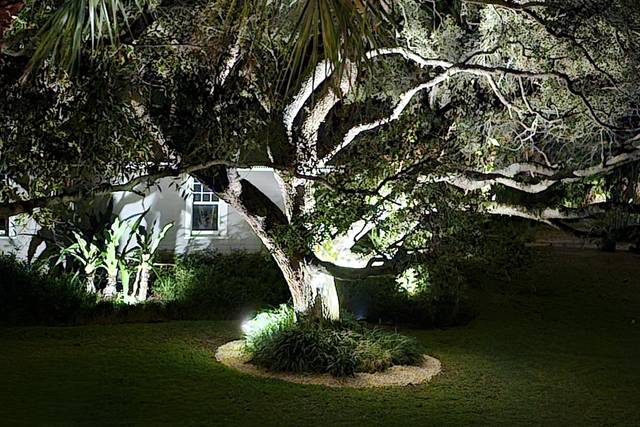 Old Oaks