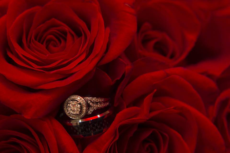 M&M Photography