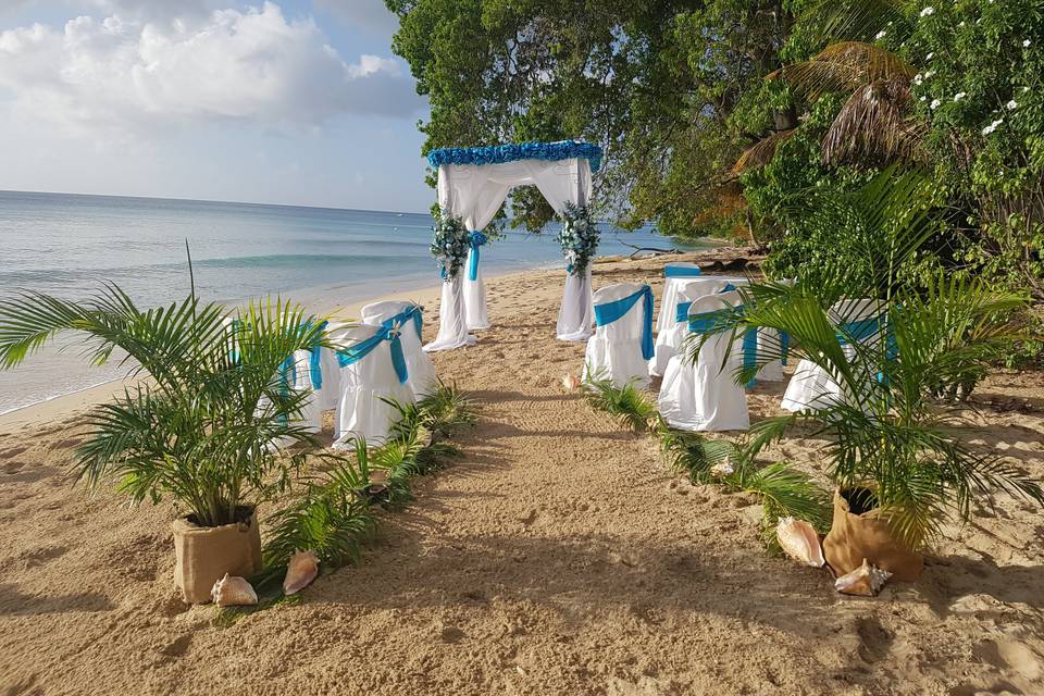 Beach ceremony in St Pete