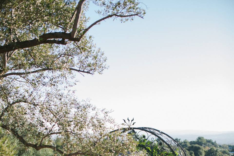 Ceremony arch