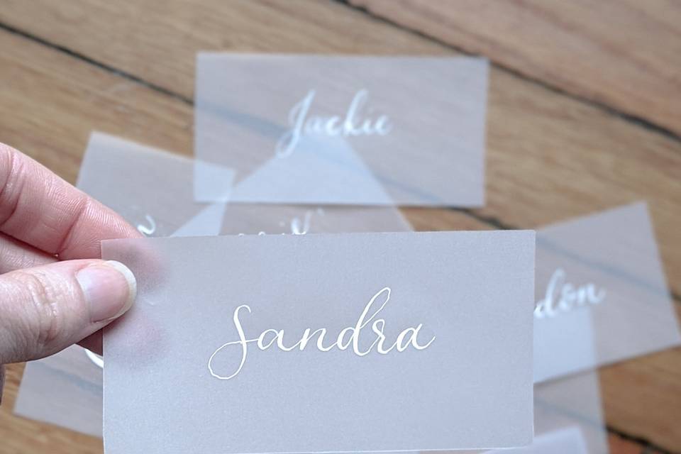 White Ink Vellum Place Cards