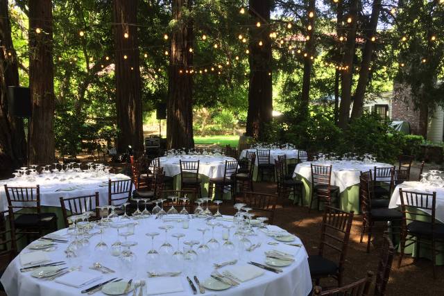 Dinner in Redwood Grove