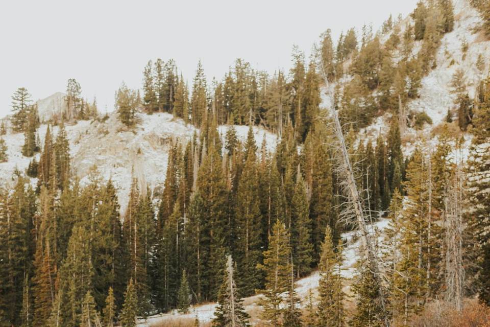 A snowy elopement.