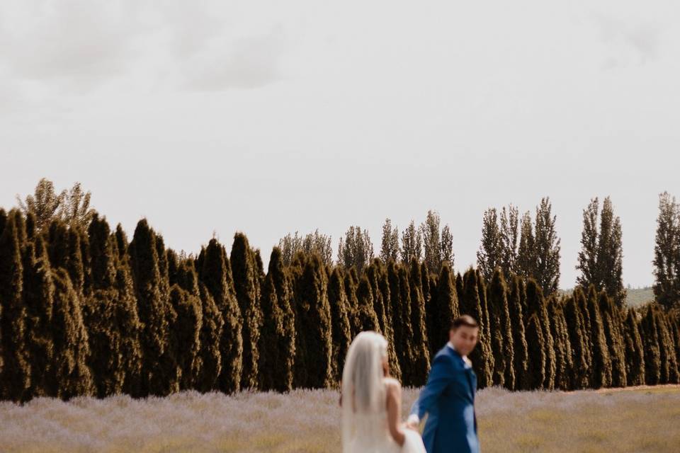 In the lavender field