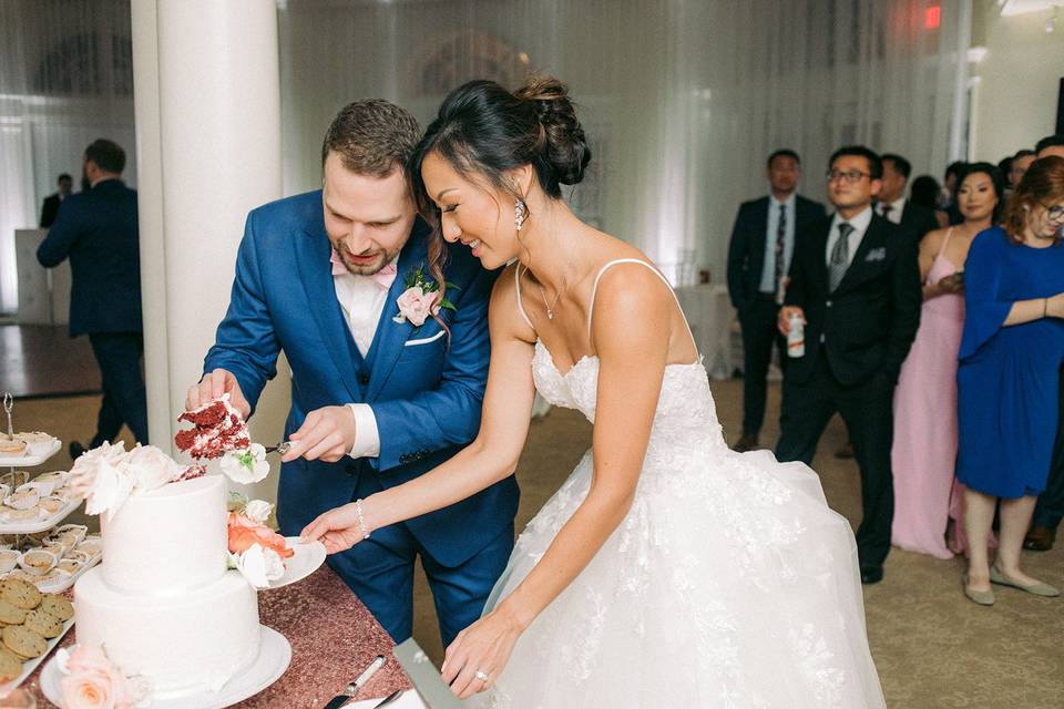 Cake Cutting